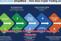 Maximizing Your Crypto Earnings: A Beginner's Blueprint